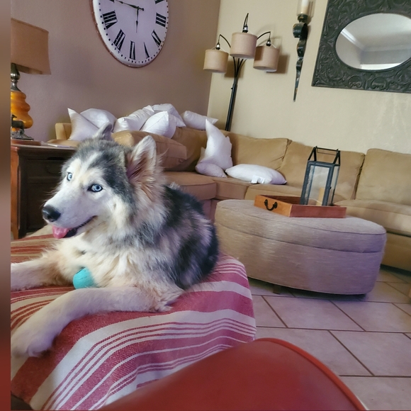 Meet your Posher, Michael - Picture 8 of 9